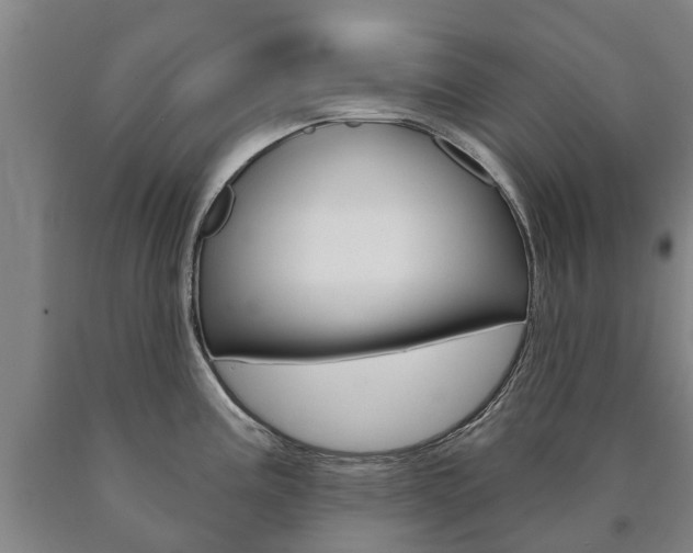 X0000090911195200707301026