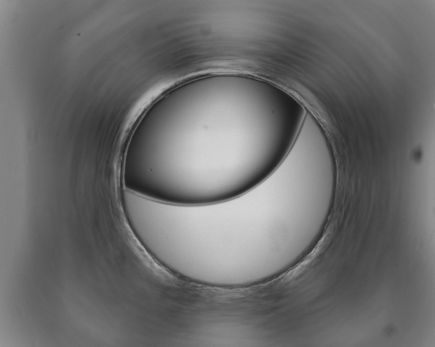 X0000090911196200707301026
