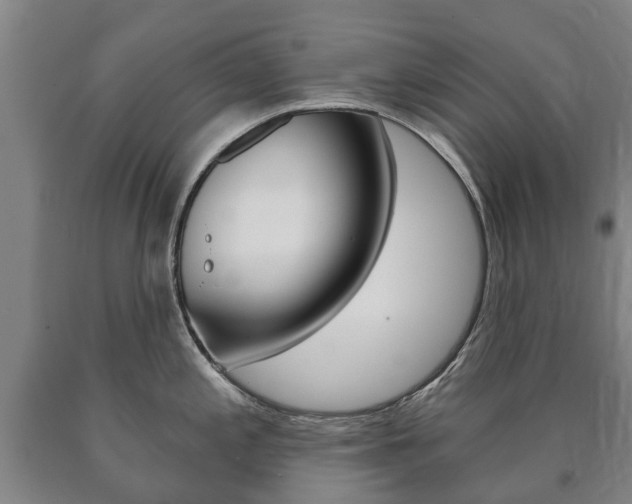 X0000090911197200707301026