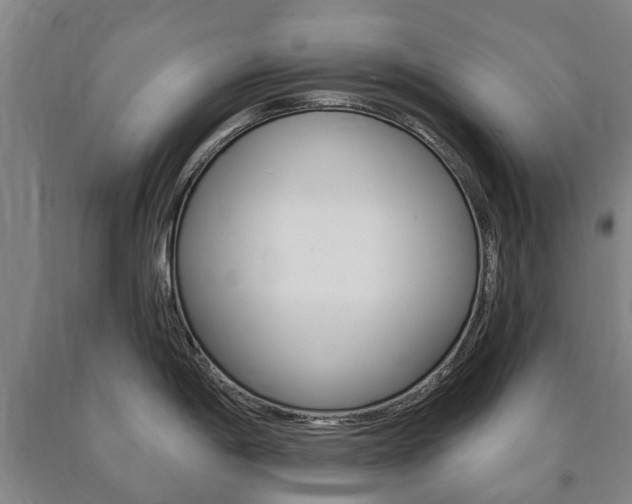 X0000090911198200707301026