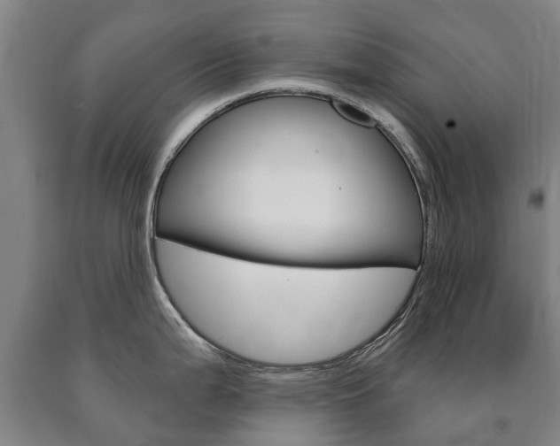 X0000090911199200707301026