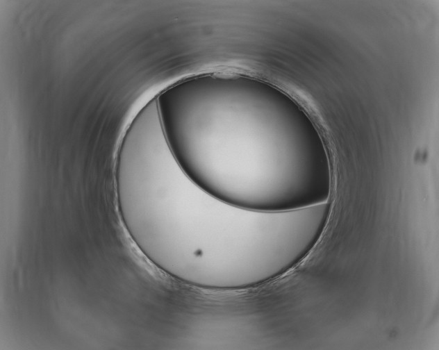 X0000090911200200707301026