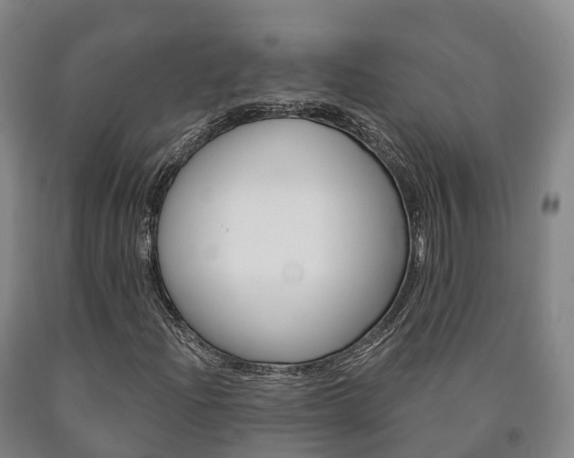 X0000090911204200707301026