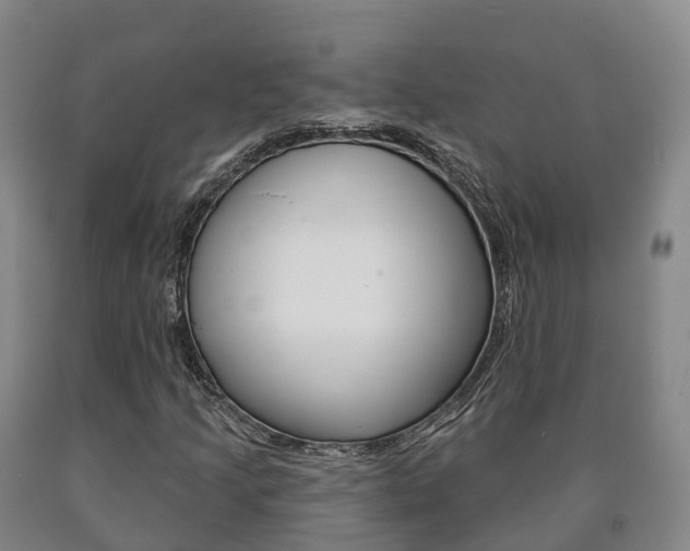 X0000090911205200707301026