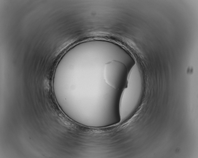 X0000090911209200707301026