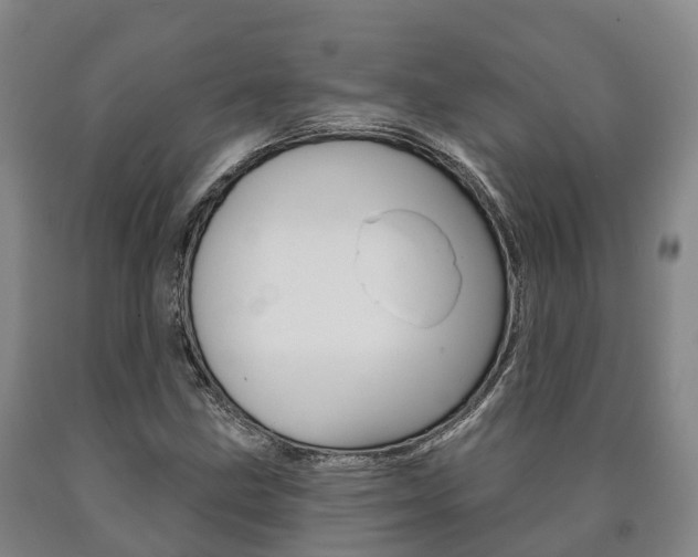X0000090911211200707301026