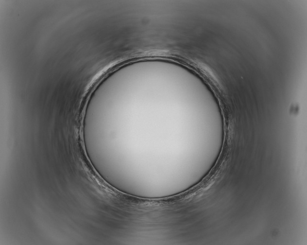 X0000090911212200707301026