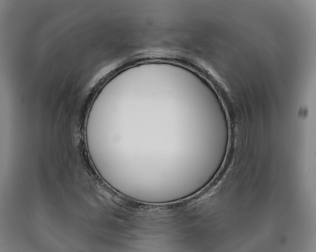 X0000090911213200707301026