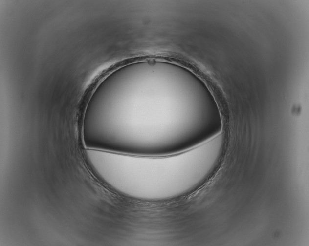 X0000090911214200707301026