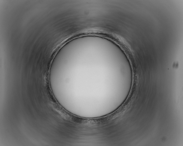 X0000090911217200707301026