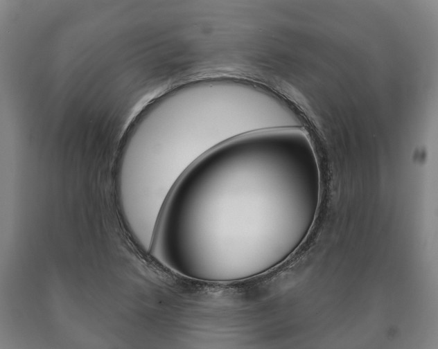 X0000090911218200707301026