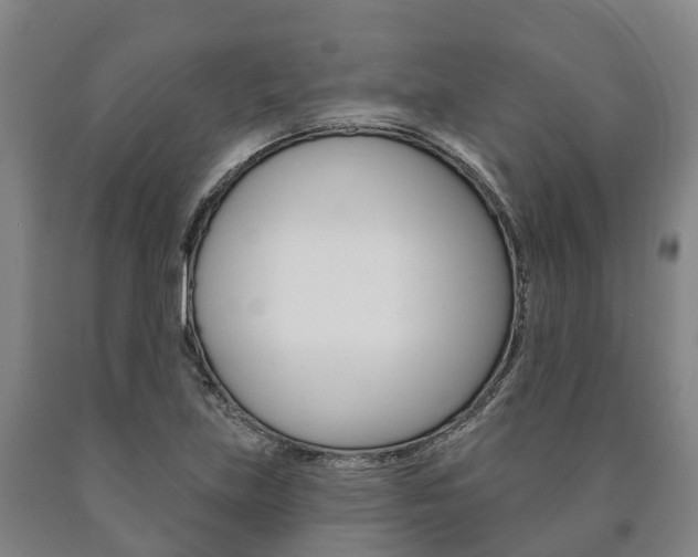 X0000090911219200707301026