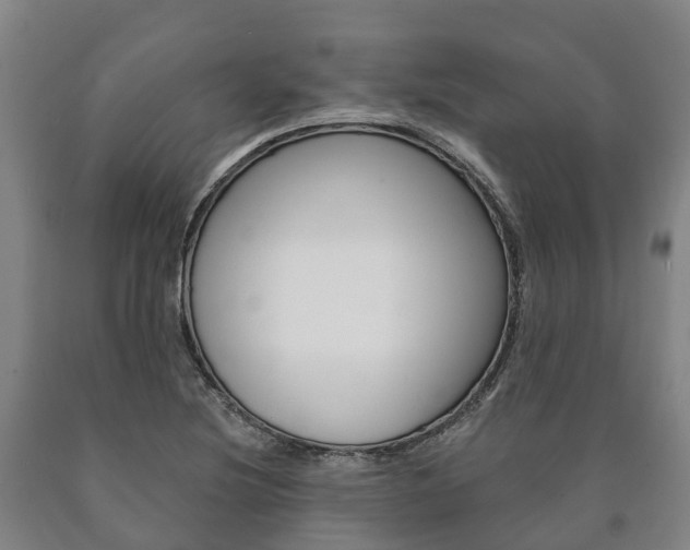 X0000090911220200707301026