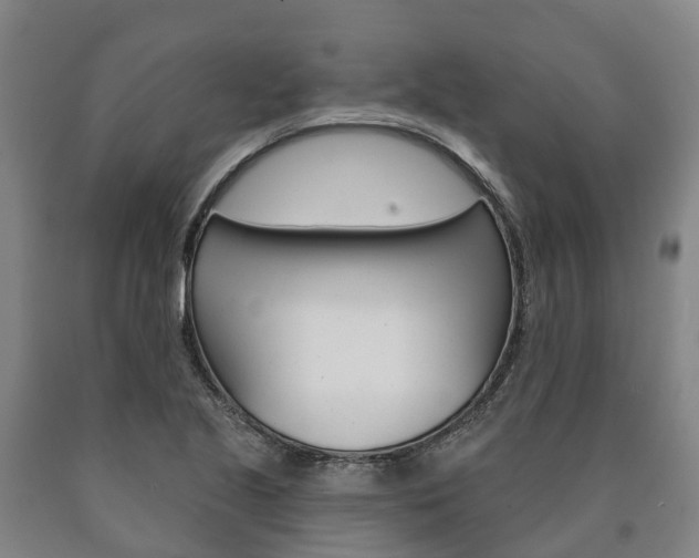 X0000090911221200707301026