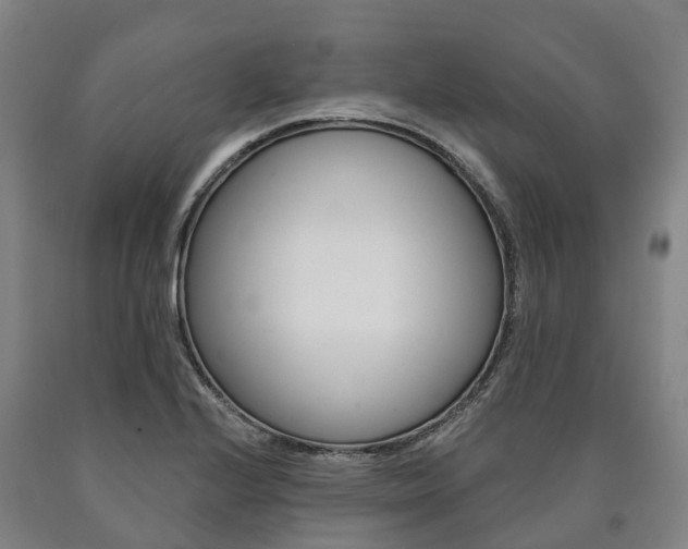 X0000090911224200707301026