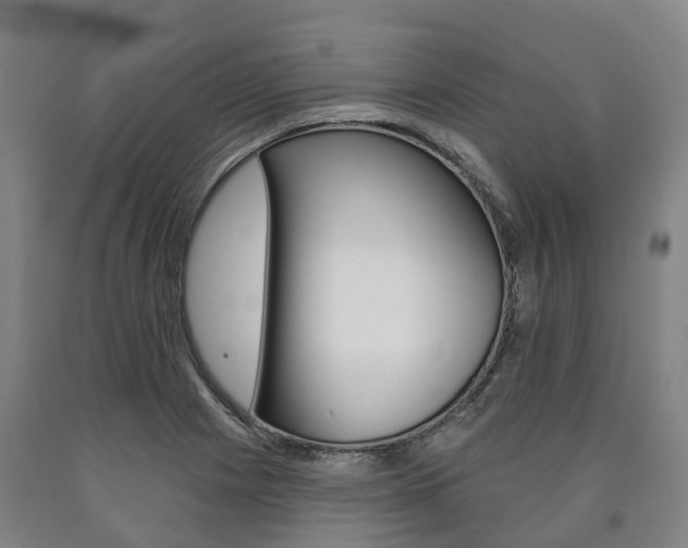 X0000090911225200707301026