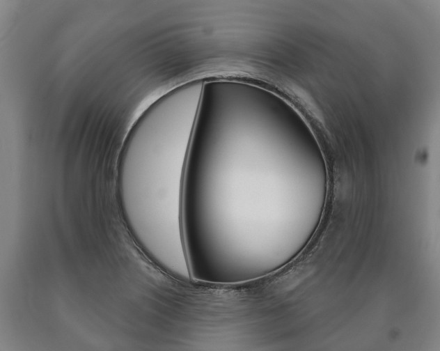 X0000090911226200707301026