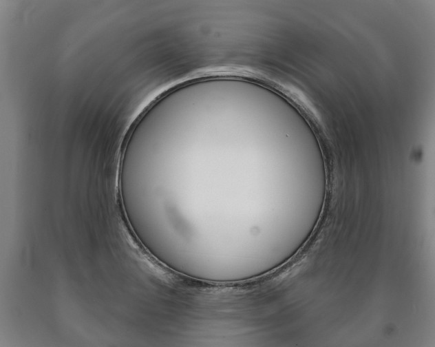 X0000090911228200707301026