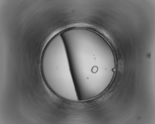 X0000090911229200707301026