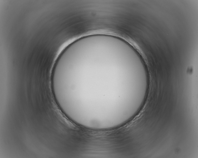 X0000090911230200707301026