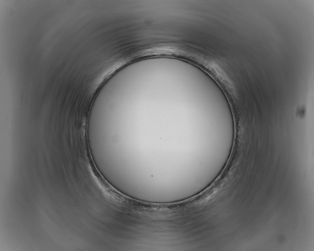 X0000090911233200707301026