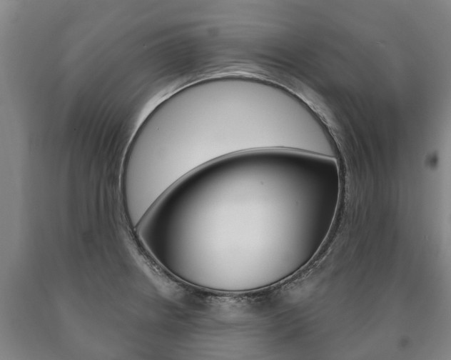X0000090911234200707301026