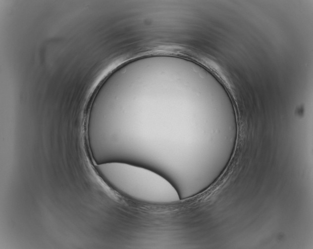 X0000090911235200707301026