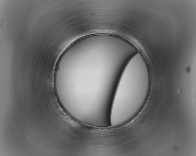 X0000090911236200707301026