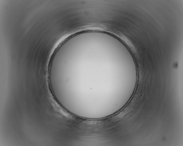 X0000090911240200707301026