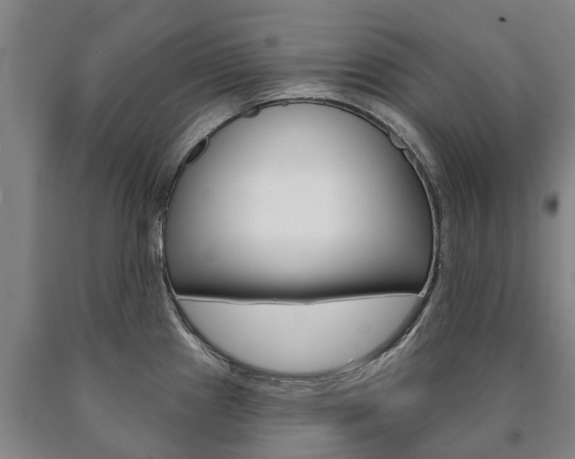 X0000090911241200707301026