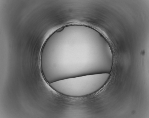 X0000090911247200707301026