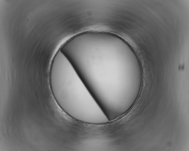 X0000090911248200707301026