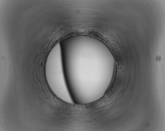 X0000090911249200707301026