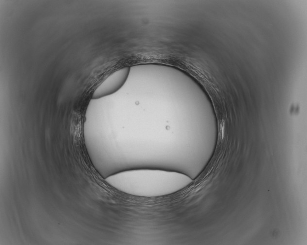 X0000090911251200707301026