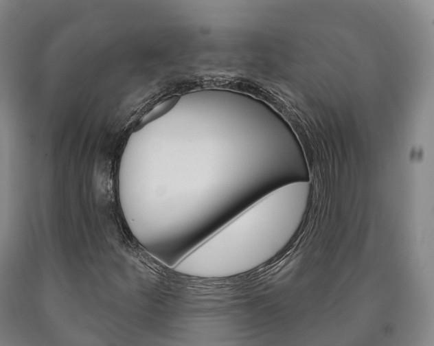 X0000090911252200707301026