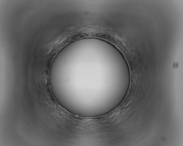 X0000090911253200707301025