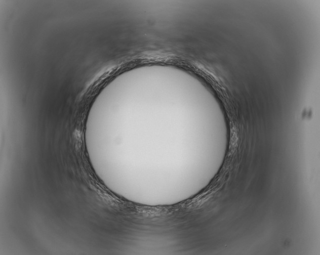 X0000090911254200707301025