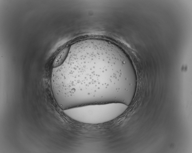 X0000090911255200707301025