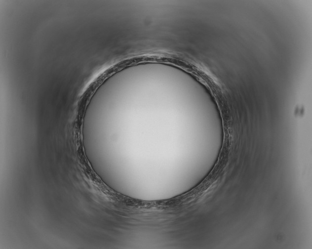 X0000090911256200707301025