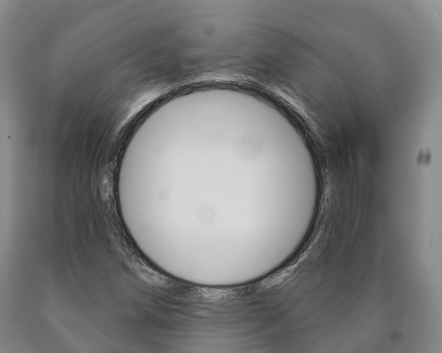 X0000090911258200707301025