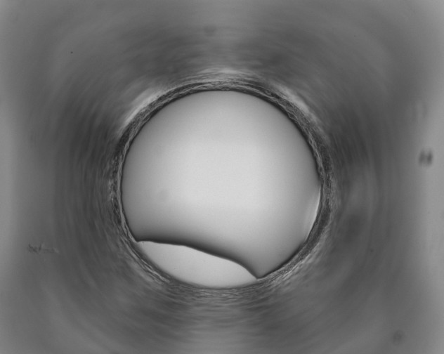 X0000090911259200707301025