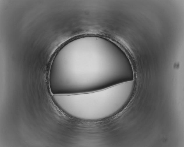 X0000090911260200707301025