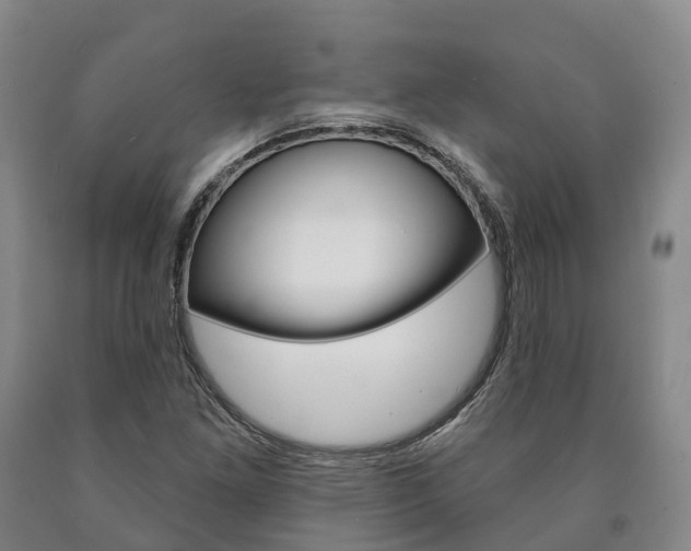 X0000090911261200707301025