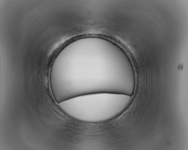 X0000090911262200707301025