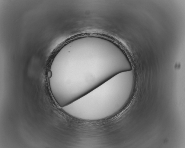 X0000090911263200707301025