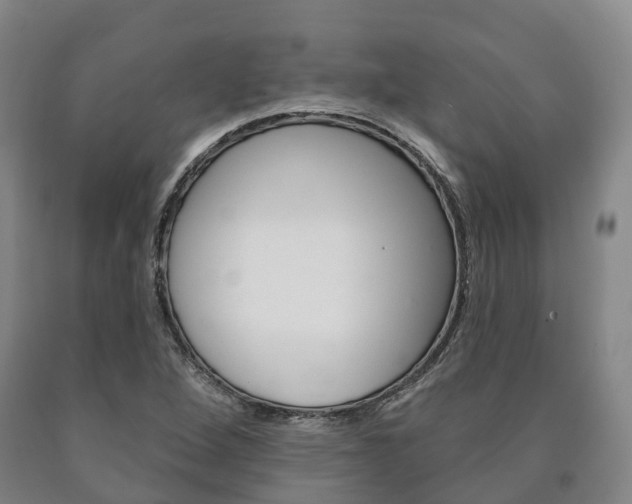 X0000090911264200707301025