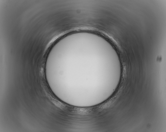 X0000090911266200707301025