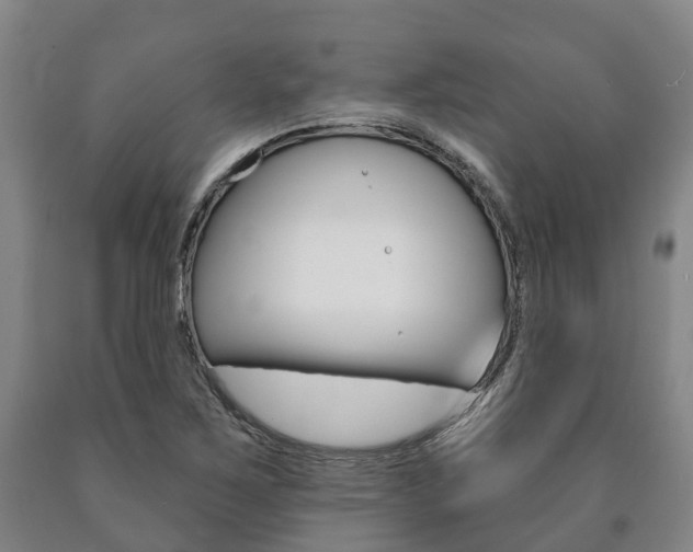 X0000090911267200707301025