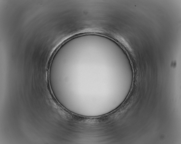 X0000090911268200707301025