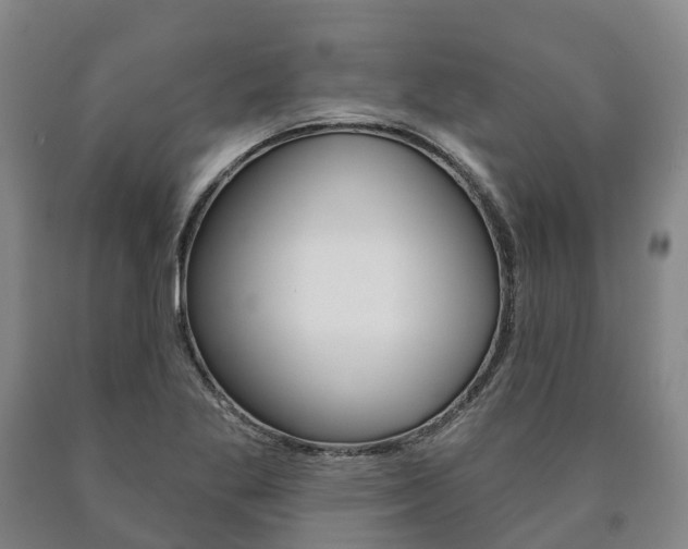X0000090911269200707301025